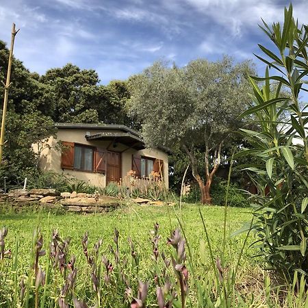 منزل الضيف Casas de Belvis  في La Cerca Del Alcornoque المظهر الخارجي الصورة