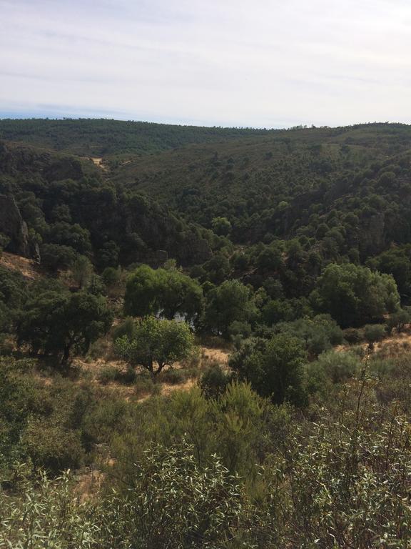 منزل الضيف Casas de Belvis  في La Cerca Del Alcornoque المظهر الخارجي الصورة